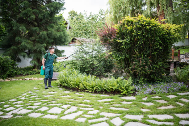 Best Cockroach Control Services  in Oak Valley, NJ