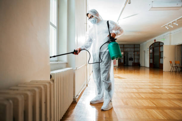 Wasp Removal Services in Oak Valley, NJ